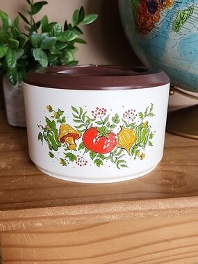 Vintage 70s  Sterilite Spice Of Life Container